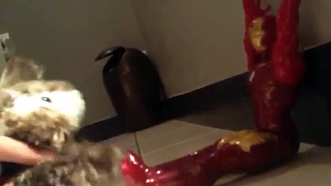 Iron Man Greatest Freak Out Ever 10 (ORIGINAL VIDEO)