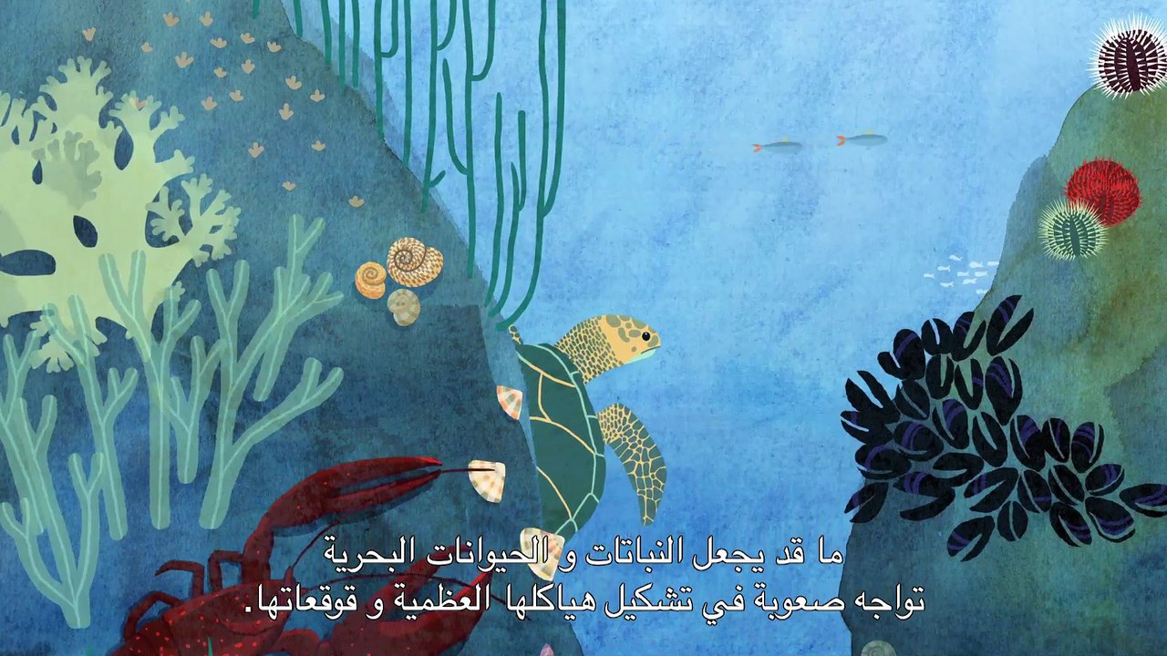 Blue Ocean - English with arabic subtitles