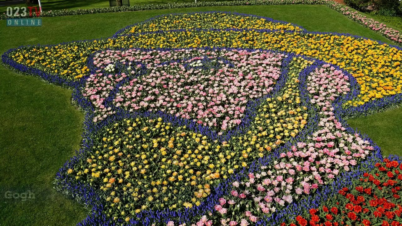 Keukenhof 2015