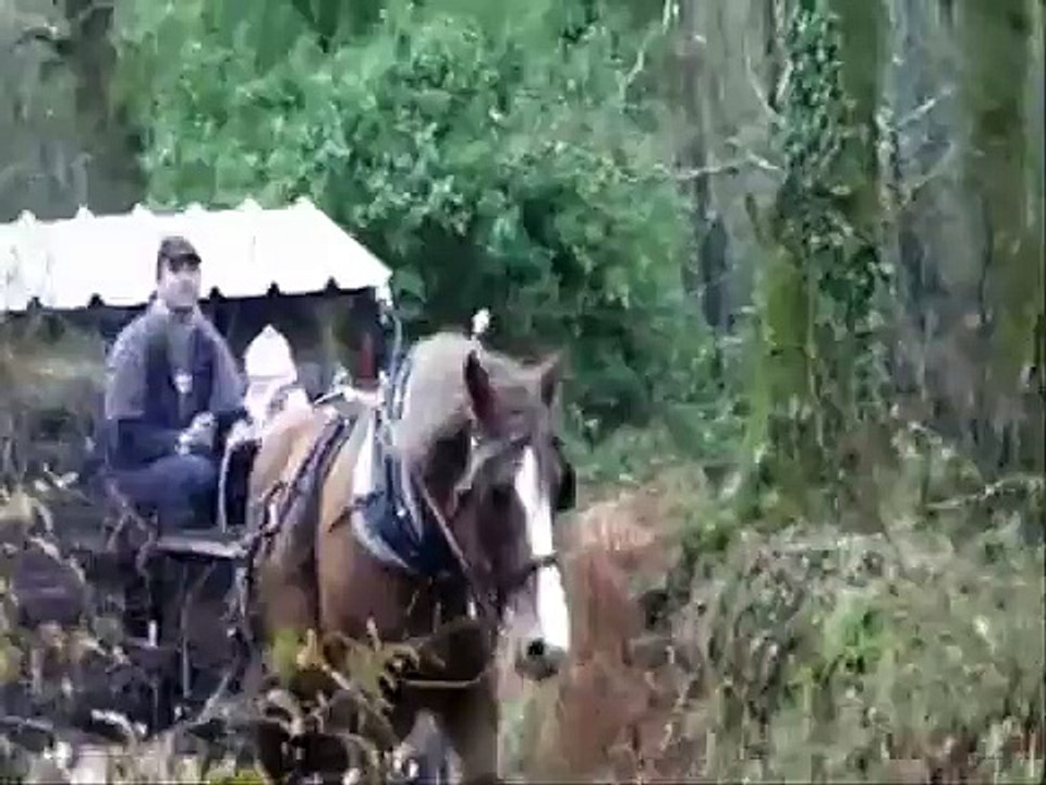 Porte foin à traction animale