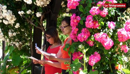 Quimper. Parenthèse ensoleillée dans le jardin du Prieuré