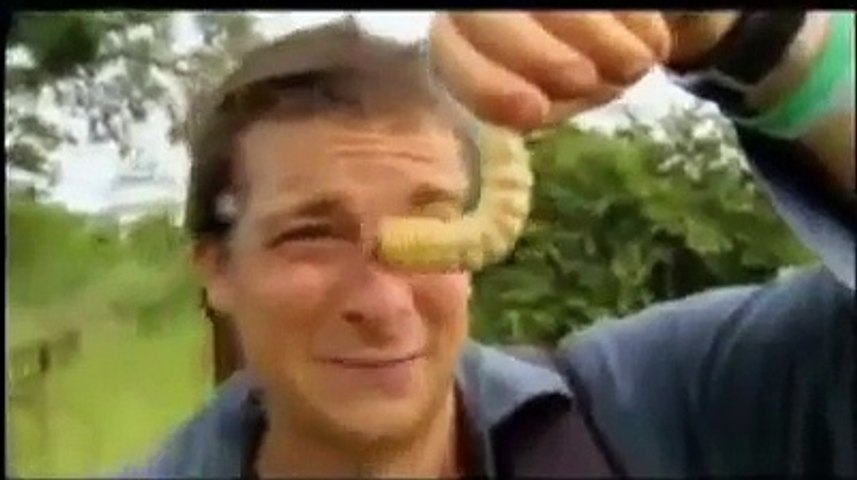 Man Vs Wild Eating Giant Larva