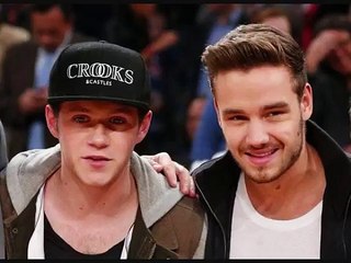 Bad Romance (Liam Payne Video)