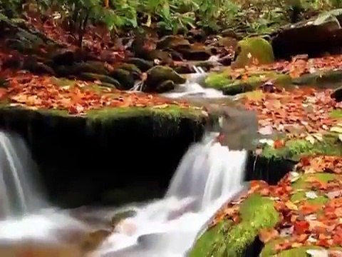 Vidéo affirmations positives sur la Loi d'Attraction