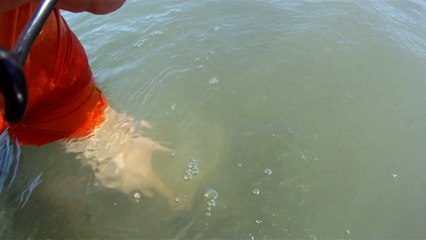 CAMINHADA NAS ONDAS E NOS MARES RICOS, VIDA, VIVA A VIDA, UBATUBA, SP, BRASIL, 17 DE JUNHO DE 2015, (12)