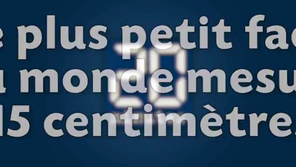 Adorable : découvrez le plus petit faon au monde !