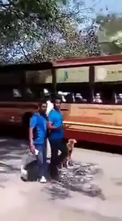 Un policier bloque la circulation pour aider un chien à traverser la route (Inde)