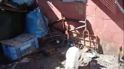 Самое смешное за неделю!