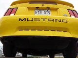 3.9 v6 Mustang Thrush Welded Muffler