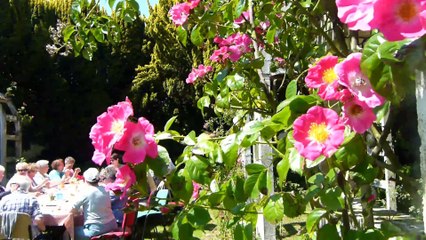 Un été de Porcelaine...