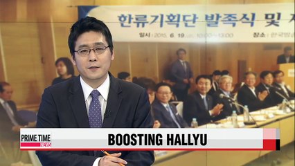 Task force team launched to promote Korean Wave