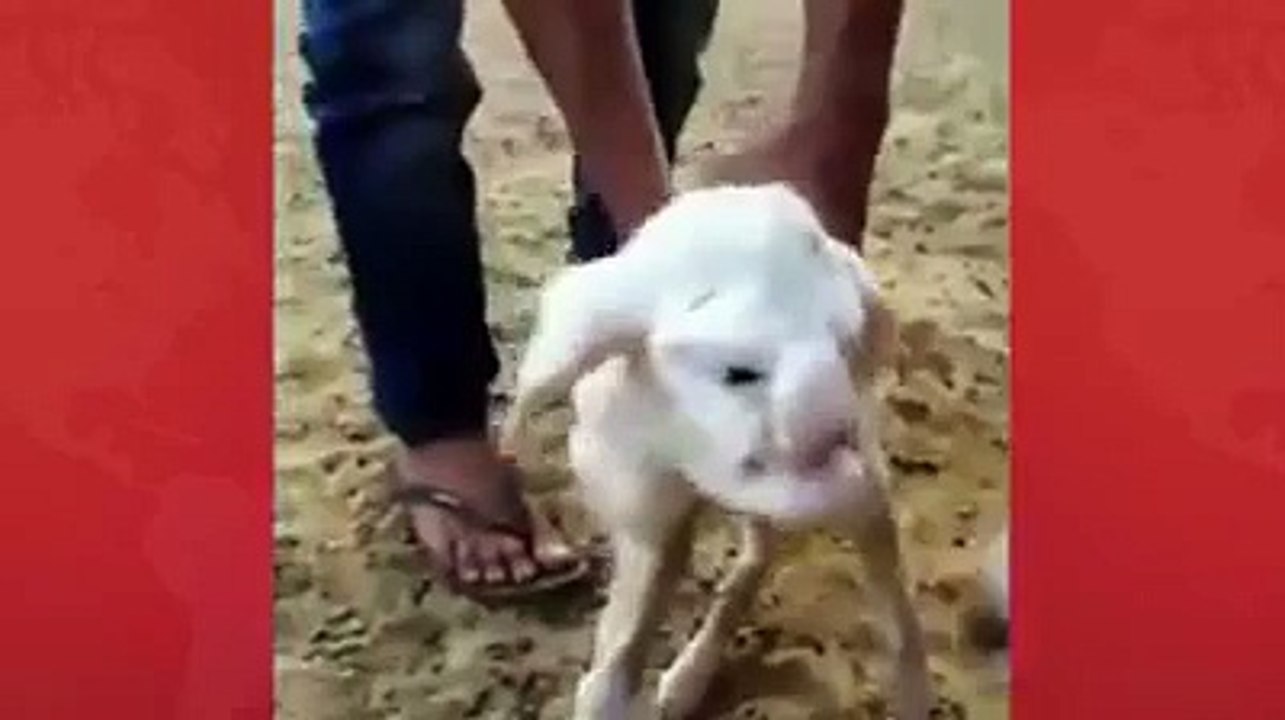 Astaghfirullah.........