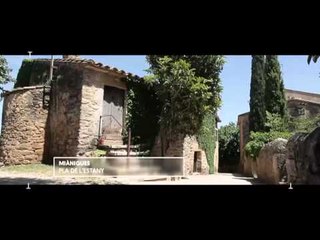 TV3 - Tria33 - Tria33 - capítol 19