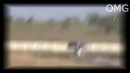 Amazing accidents and  lucky people