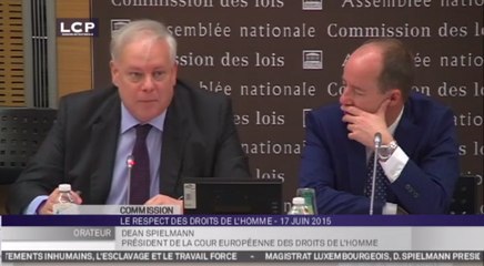 TRAVAUX ASSEMBLEE 14E LEGISLATURE : Audition de Dean Spielmann, président de la Cour européenne des droits de l’homme