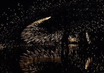 Home-Made Fireworks Create Amazing Visuals