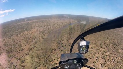 Robinson R44 low RPM incident