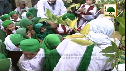 Sayyedi Attara in the Voice of Madani Childrens (Madani Munnay)