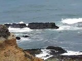 Beach Pacific Ocean Water Wave Waves Sounds Northern CA California USA