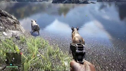 Far Cry 4 - Funny Moments - Fun With The Pigs