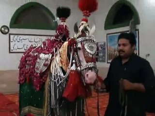 Ziarat Shabeeh Zuljanah Majlis 27 Rajab 2015 Narowal