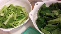 大豆とじゃがいもとニンニクのコチュジャン炒め：The pepper fried soybeans and potatoes and garlic：Japanese food rec