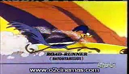 Road Runner - Wild about hurry