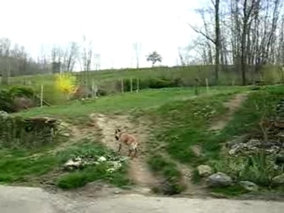 Brensmars2007 059