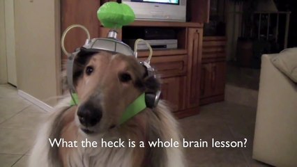 TEACHERS/PARENTS:  Inspirational Message about WHOLE BRAIN Learning