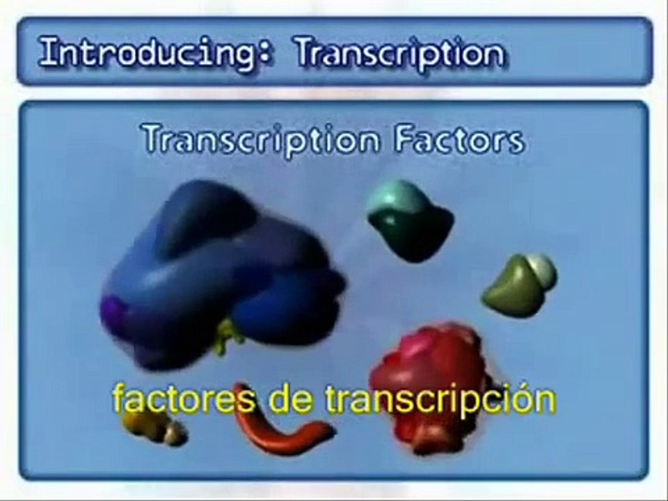 Transcripción del ADN