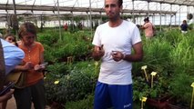 Plantas medicinales dolça revolució - visita a las instalaciones en Balaguer de Dolça revolució