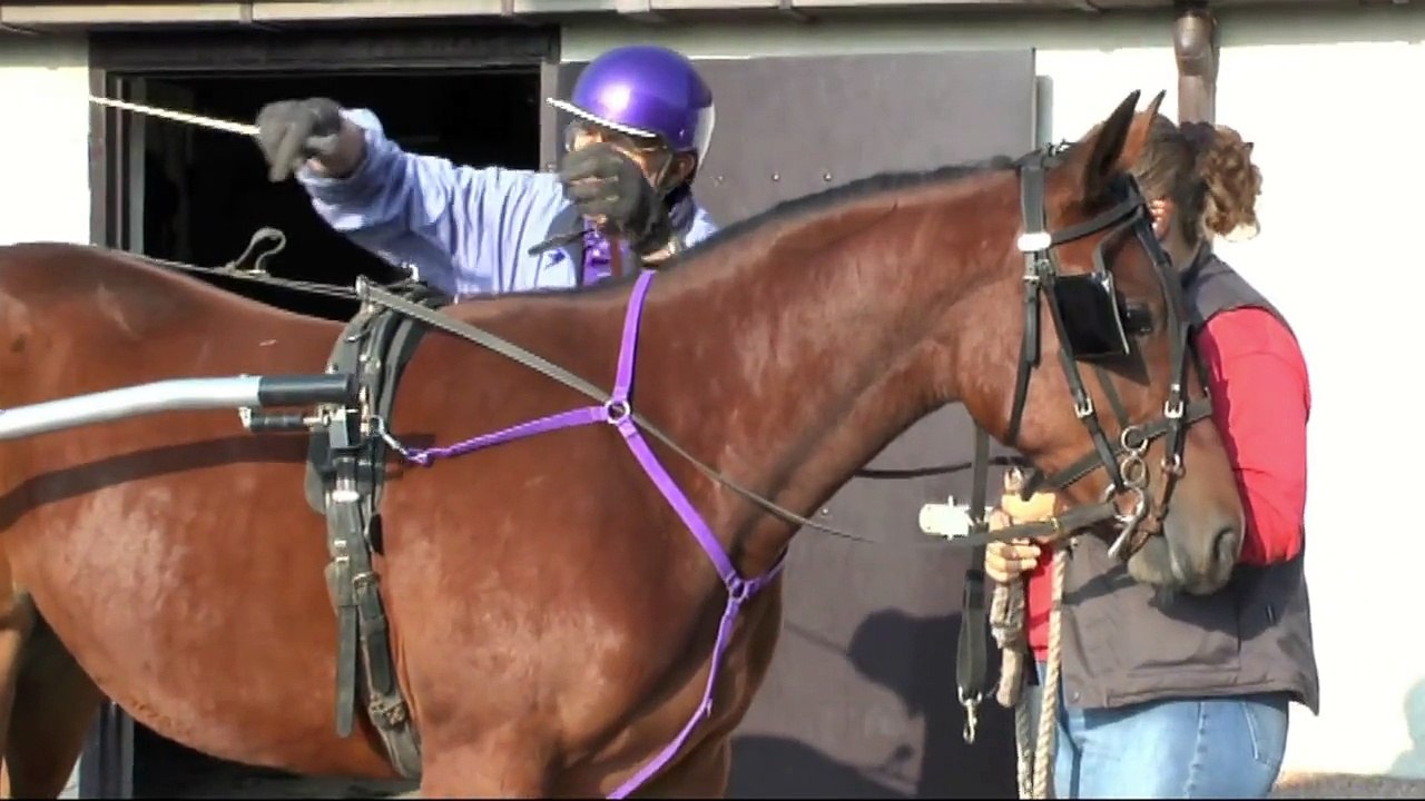 23. Galya Fortuna (Light Kronos - Nikita Fortuna f. Kameraad)