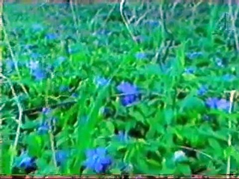 Indigenous Native American Prophecy (Elders Speak Part 4)