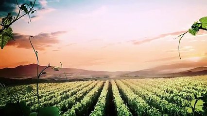 Mercurial Superfly, la galaxie CR7