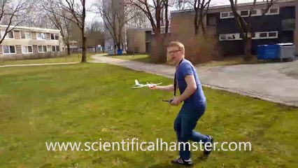 Homemade Mini RC Glider La Mariposa