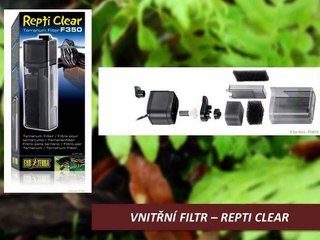 Natural terrarium for frogs - paludárium pro žáby ( Leptopelis vermiculatus)