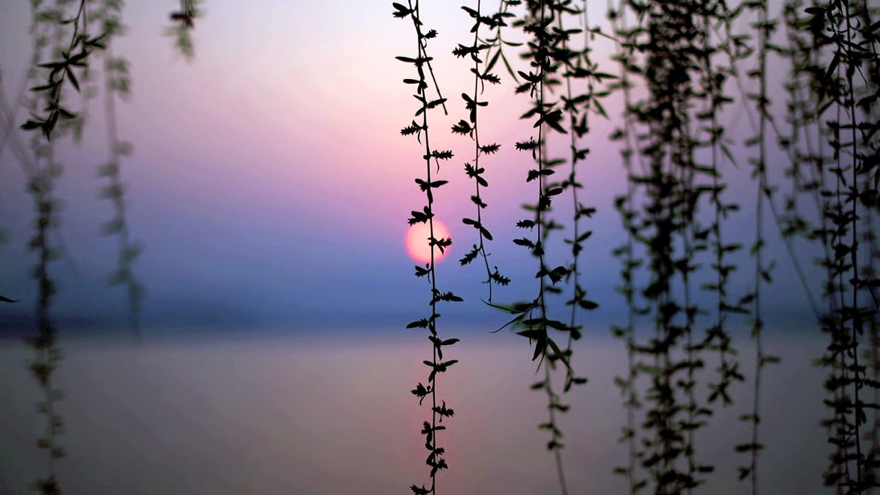 Wallander - Anna Ternheim - Quiet Night