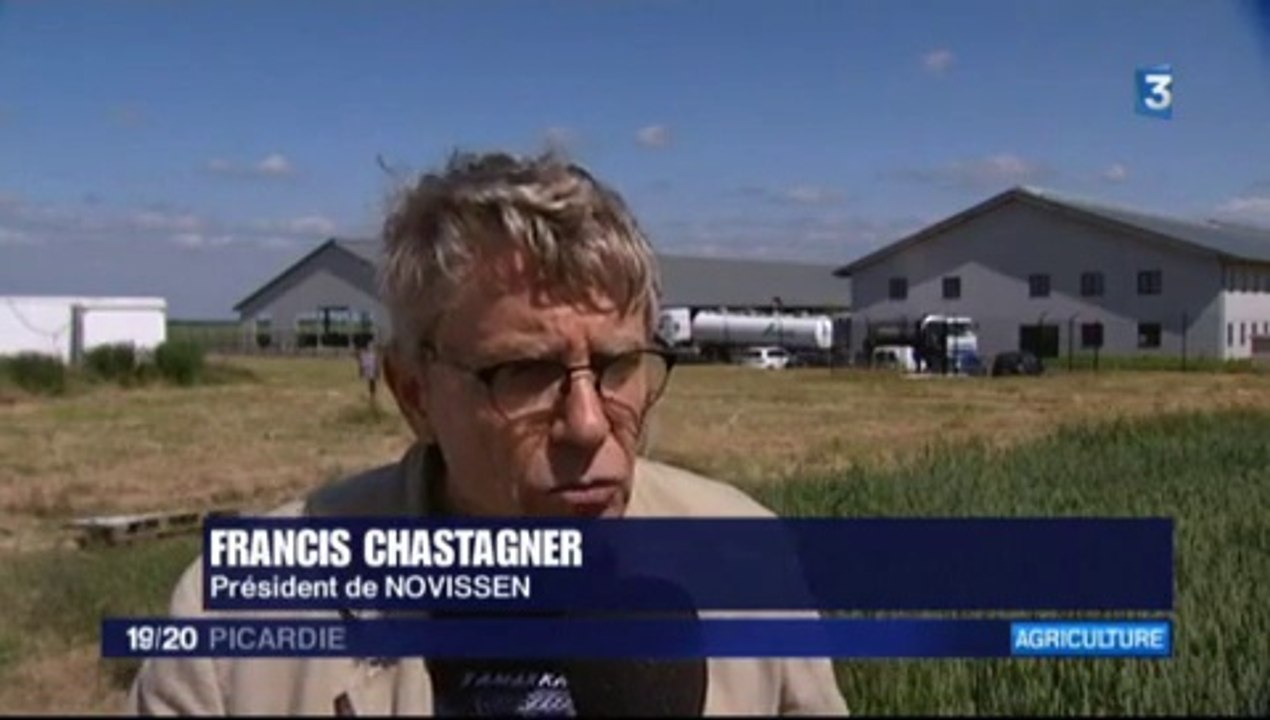 20150609-F3Pic-19-20-Drucat-Mille Vaches : trop de vaches !