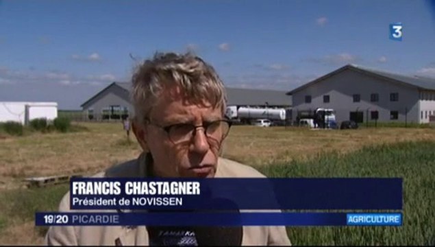 20150609-F3Pic-19-20-Drucat-Mille Vaches : trop de vaches !