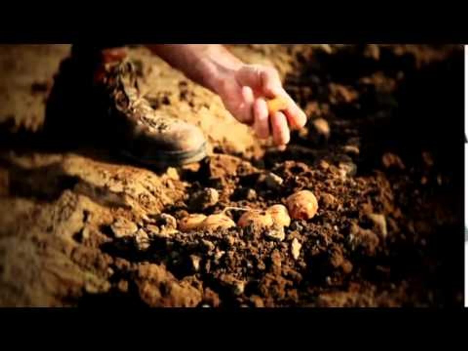 Domanda unica PAC 2015