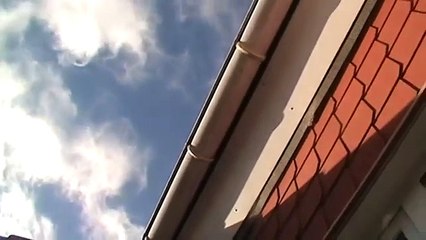 CHEMBUSTER = HELIKOPTER - mal wieder der pure Zufall ! ;-) ORGONIT