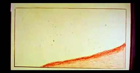 Help mee in de strijd tegen honger. Laat boeren groeien (2)