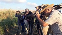 Massive Flocks of Birds Pass Through Israel's Hula Valley