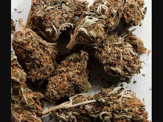 Bob Marley - Somewhere to lay my head