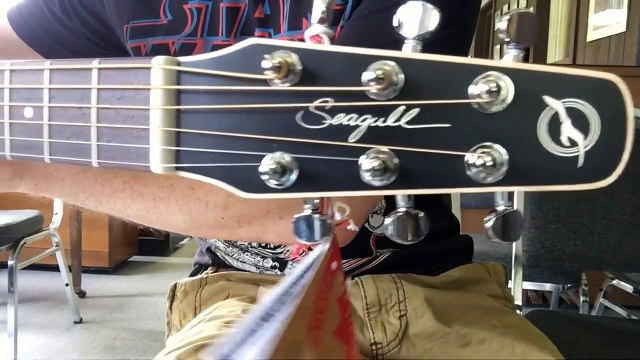 Seagull Coastline S6 Cedar Folk Acoustic Guitar Demo