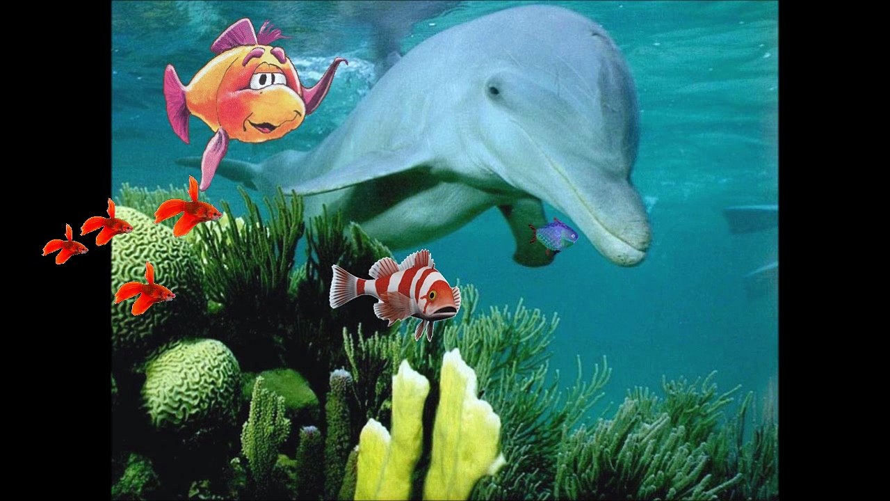 Poisson d'Avril 2015