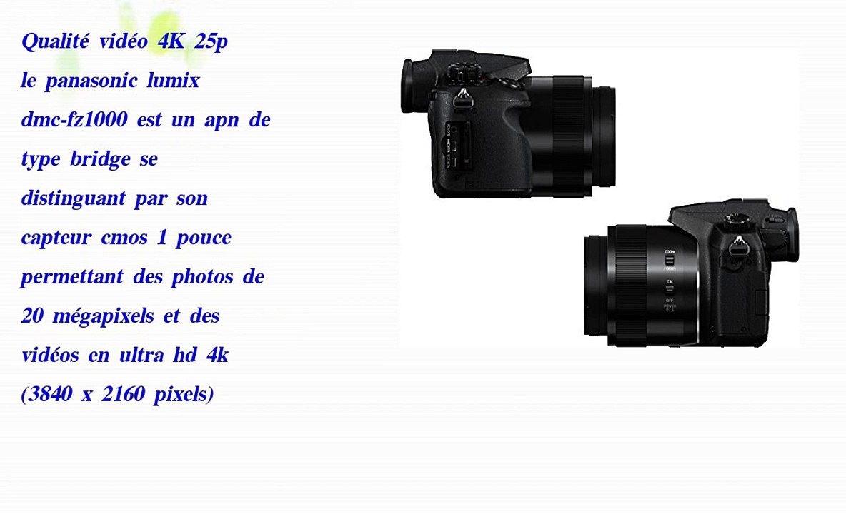 Panasonic Lumix DMC FZ1000EF Appareil photo numérique
