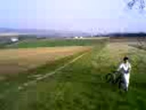 Dingue 78920 Failli se niké