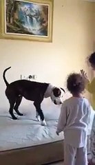 Dog enjoying With KIDS