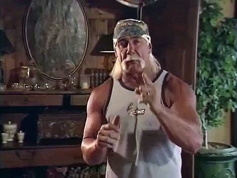 Hulk Hogan flexes his muscles against animal fighting